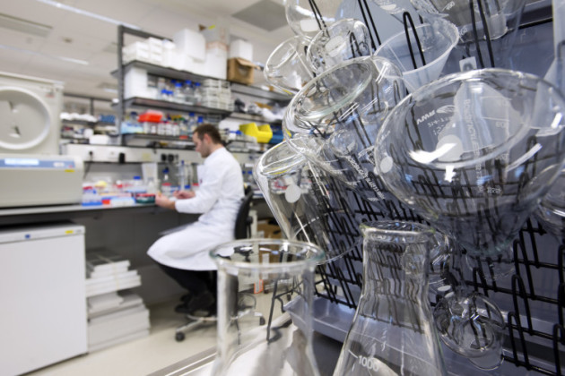 Lorem ipsum dolor sit amet