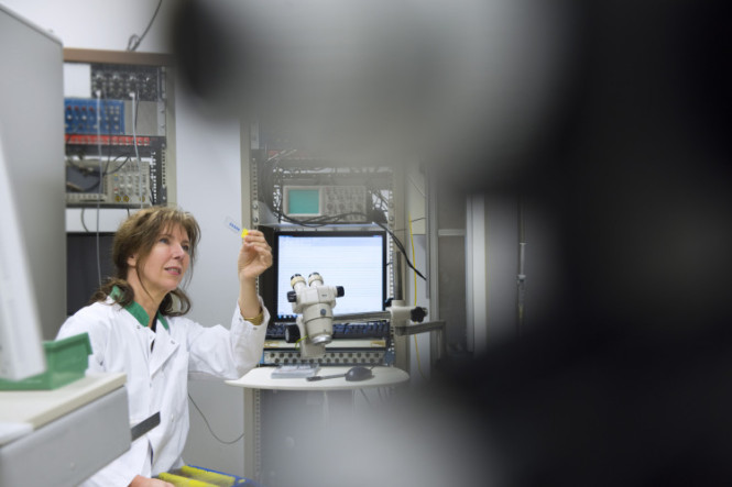 Lorem lorem klorem ipsum dolor sit